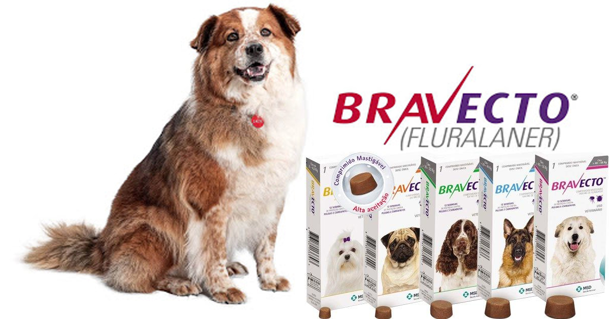 Ефективність лікування демодекозу собак препаратами Bravecto
