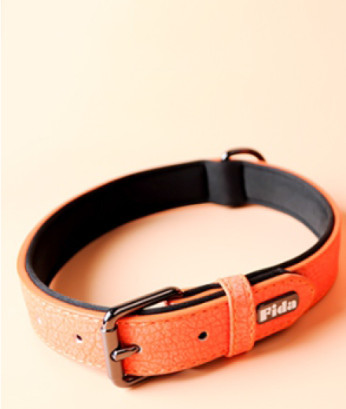 Ошийник для собак Fida Collar leash L 38-48 см жовтогарячий