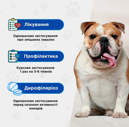 Протипаразитарна таблетка Modes Квадромідас проти бліх і кліщів та гельмінтів для собак вагою 2-4 кг, 0.2 г, 1 табл