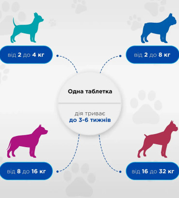 Протипаразитарна таблетка Modes Квадромідас проти бліх і кліщів та гельмінтів для собак вагою 2-4 кг, 0.2 г, 1 табл