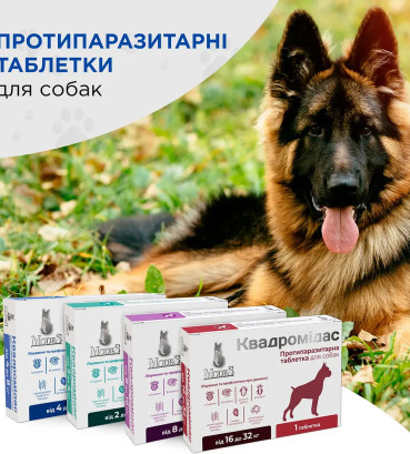 Протипаразитарна таблетка Modes Квадромідас проти бліх і кліщів та гельмінтів для собак вагою 2-4 кг, 0.2 г, 1 табл