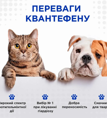 Таблетки проти глистів Modes Kvantefen Квантефен для собак і котів, 4 табл