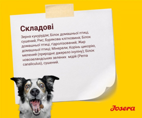Josera Баланс Сеньйор для всіх порід для літніх та малоактивних собак 12.5 кг