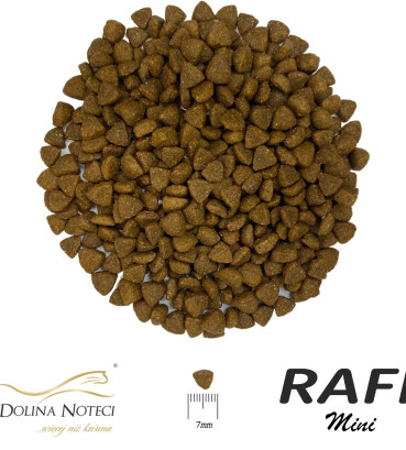 Сухий корм для собак малих порід Dolina Noteci RAFI mini з ягням 3 кг
