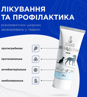Мазь Modes Vabaderm Вівадерм знеболювальна, протигрибкова, протизапальна 25 г