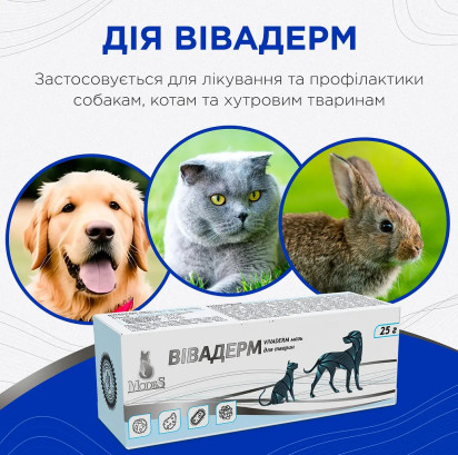 Мазь Modes Vabaderm Вівадерм знеболювальна, протигрибкова, протизапальна 25 г