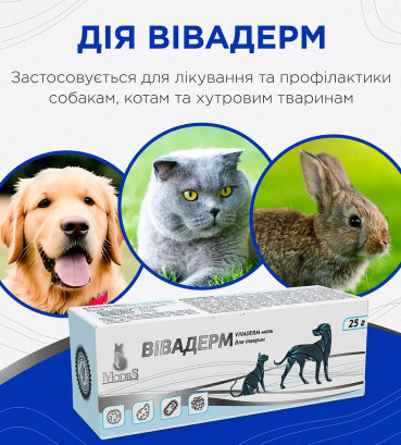 Мазь Modes Vabaderm Вівадерм знеболювальна, протигрибкова, протизапальна 25 г