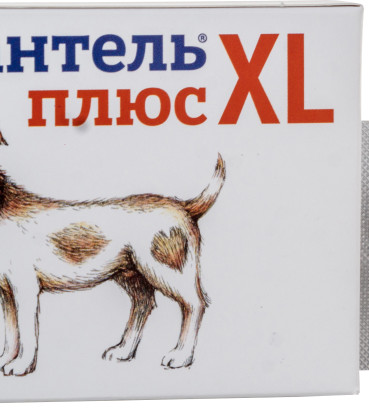 Таблетки проти глистів Haupt Pharma Каніквантель Плюс XL для собак середніх та великих порід 