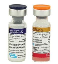 Вакцина Biocan DHPPI+RL Біокан ЧГППІ+РЛ для собак 1 доза