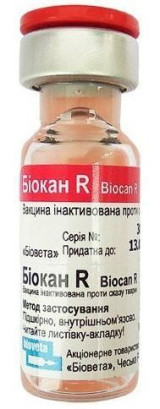 Вакцина Biocan R Біокан Р для собак та котів 1 доза