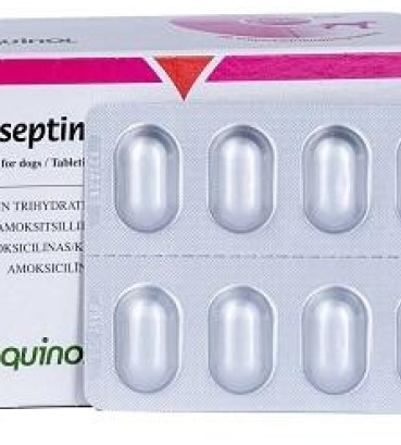 Антибактеріальний засіб для собак та котів Клавасептин Vetoquinol 250 мг, 10 табл