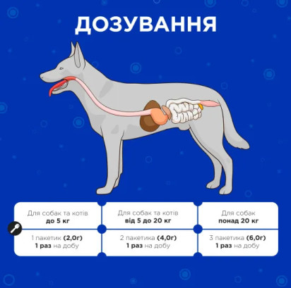 Пробіотик Modes Kombiflor Комбіфлор Probitik для підтримки балансу мікрофлори кишечника собак та котів, 15 порошків, 2 г