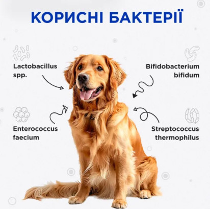 Пробіотик Modes Kombiflor Комбіфлор Probitik для підтримки балансу мікрофлори кишечника собак та котів, 15 порошків, 2 г