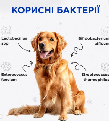 Пробіотик Modes Kombiflor Комбіфлор Probitik для підтримки балансу мікрофлори кишечника собак та котів, 15 порошків, 2 г