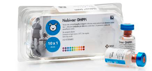 Вакцина Nobivac DHPPI Нобівак ЧГППІ для собак 1 доза