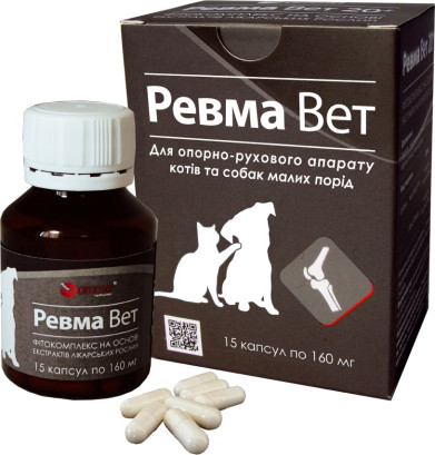Фітокомплекс Amma Ревма Вет для опорно-рухового апарату котів і собак малих порід 15 капсул