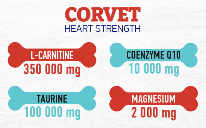 Вітамінно-мінеральна добавка Dr.Vet Korvet Корвет - для підтримки роботи серця 100 табл