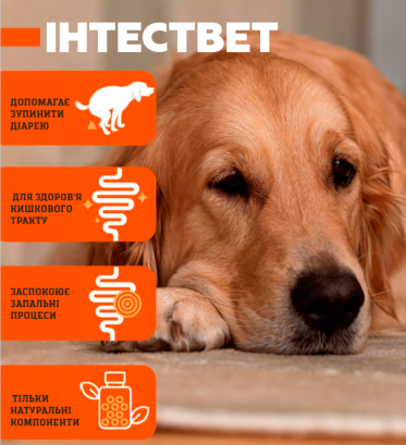 Вітамінно-мінеральна добавка Dr.Vet INTESVET Інтествет для підтримки роботи кишково-шлункового тракту собак та котів 40 табл