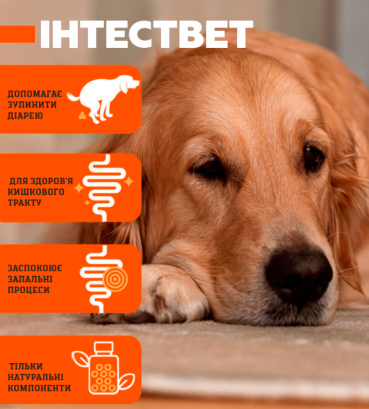 Вітамінно-мінеральна добавка Dr.Vet INTESVET Інтествет для підтримки роботи кишково-шлункового тракту собак та котів 40 табл