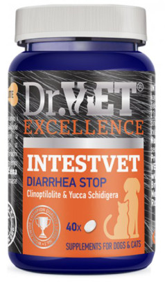 Вітамінно-мінеральна добавка Dr.Vet INTESVET Інтествет для підтримки роботи кишково-шлункового тракту собак та котів 40 табл